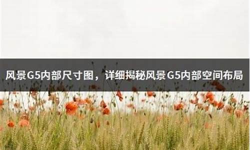 风景g9内部空间尺寸_风景g9内部空间尺寸图